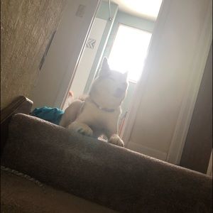 Meet your Posher, Autumn